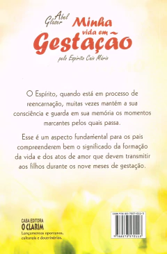 Minha vida em gestação na internet