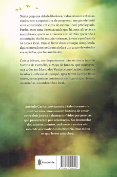 O morro dos ventos - comprar online