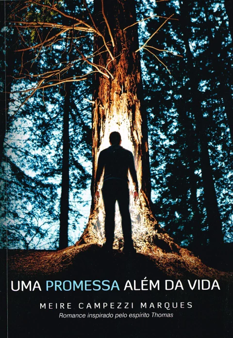 Uma promessa além da vida