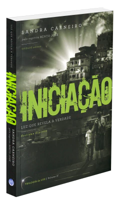 Coleção exploradores da Luz - Vol 02 - iniciação na internet