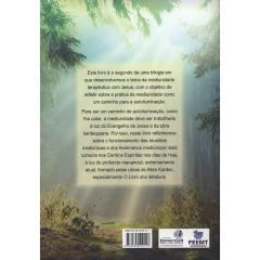 Reuniões mediúnicas e os vários tipos de mediunidade - comprar online