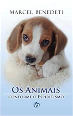 Os animais conforme o espiritismo