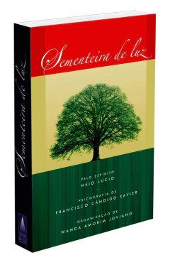 Sementeira de luz - comprar online