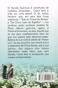 Na próxima dimensão - comprar online