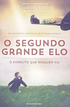 O segundo grande elo na internet