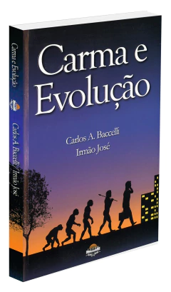 Carma e evolução na internet