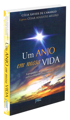 Um anjo em nossa vida na internet