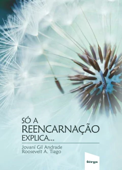 Só a reencarnação explica na internet