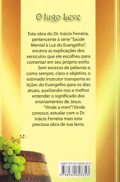 O jugo leve na internet