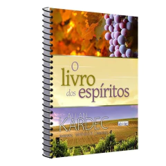 O livro dos espíritos (espiral) na internet