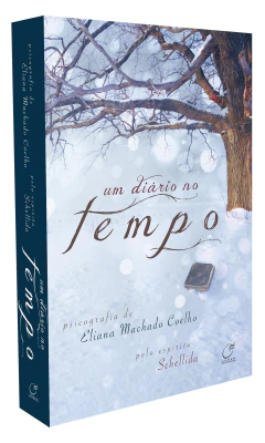 Um diário no tempo na internet