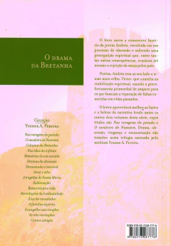 Trilogia de Yvonne - Vol 03 - o drama da Bretanha na internet