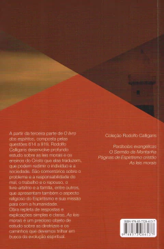 As leis morais na internet