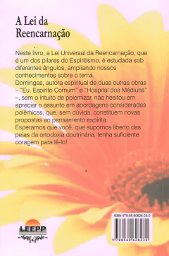 A lei da reencarnação na internet