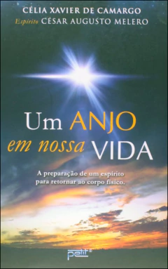 Um anjo em nossa vida