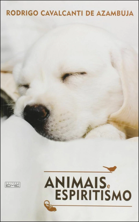 Animais e espiritismo