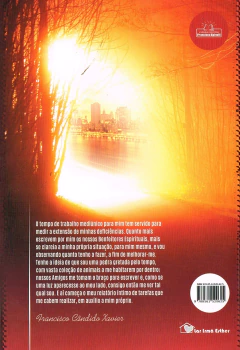 A ponte - diálogos com Chico Xavier na internet