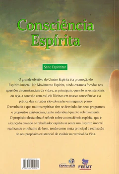 Consciência espírita na internet