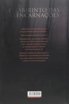 O labirinto das reencarnações - comprar online