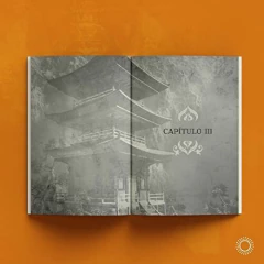 O caminho do buscador - a trilha do Bodhisattva na internet