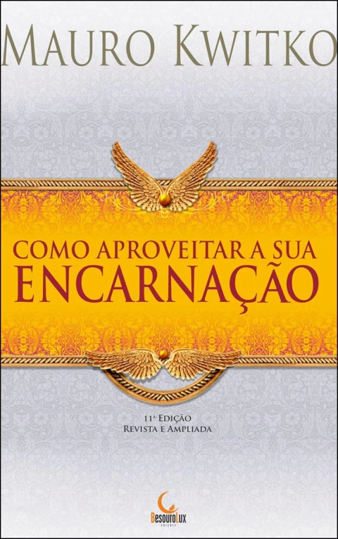 Como aproveitar a sua encarnação