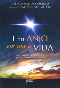 Um anjo em nossa vida - comprar online