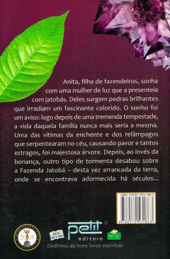 A ametista e o jatobá - livrariaCX - Chico Xavier