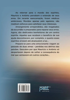 Reparando erros de vidas passadas - livrariaCX - Chico Xavier