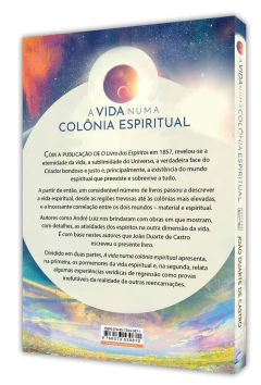 A vida numa colônia espiritual na internet