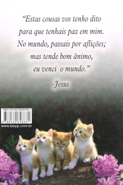 Paz de espírito na internet