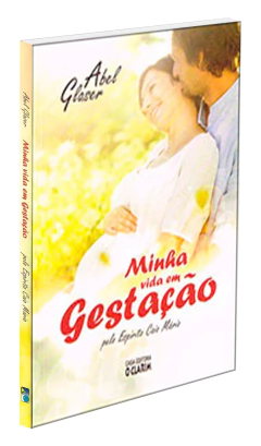 Minha vida em gestação - comprar online