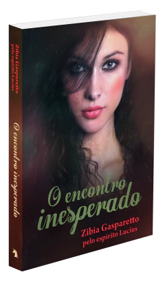 O encontro inesperado - comprar online