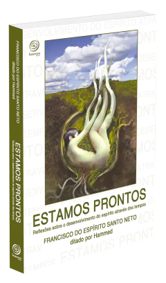 Estamos prontos - reflexões sobre o desenvolvimento do espírito através do tempo na internet