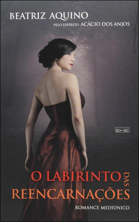 O labirinto das reencarnações