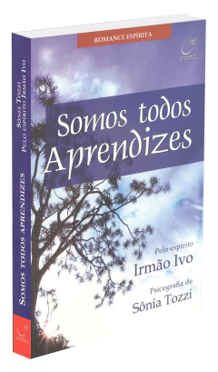 Somos todos aprendizes na internet