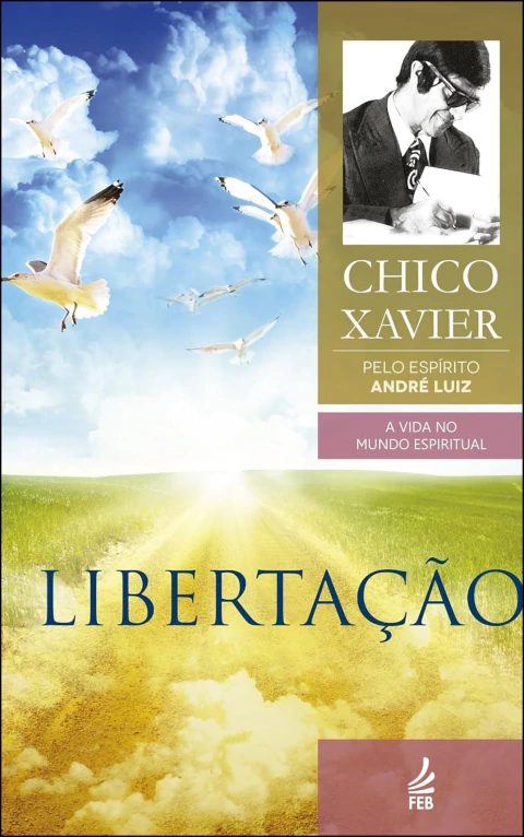 Coleção André Luiz - Vol 06 - libertação