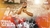 Imagem do banner rotativo 30