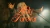 Imagem do banner rotativo 5