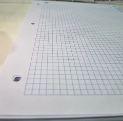 Respuesta de Hojas Carpeta en internet