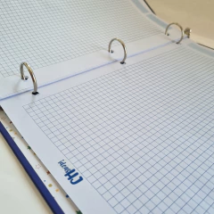 Carpeta Un Verdadero Sabio