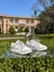 NIKE DUNK LOW SB CINZA na internet