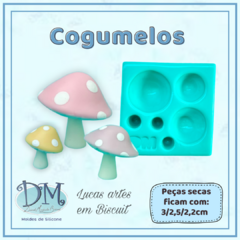 Cogumelos