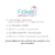 Ficha Clínica Facial Interactiva - comprar en línea