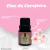 Essência Hidrossolúvel Clássica 10ML Flor de Cerejeira na internet