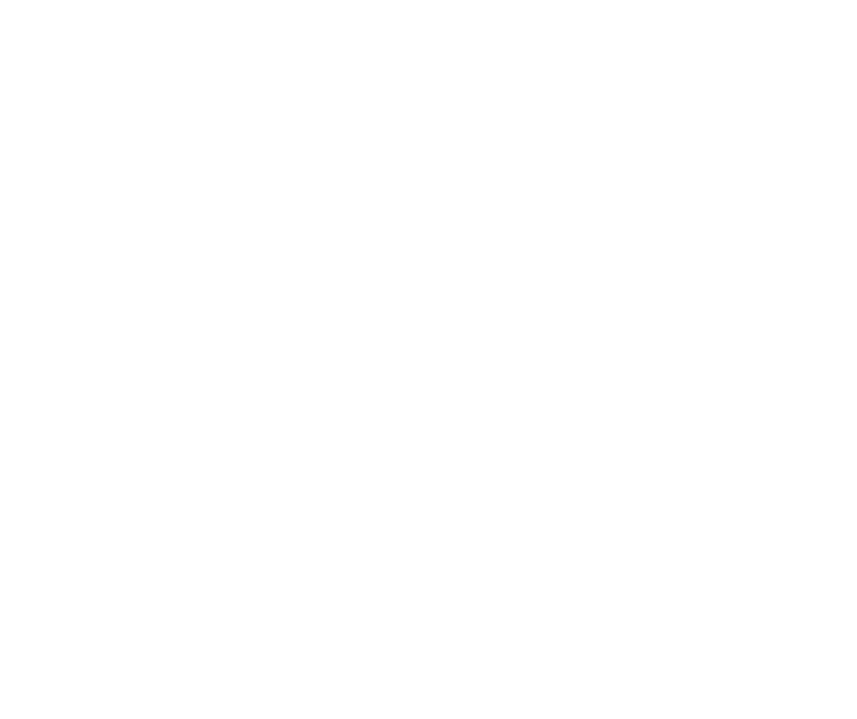 Indian denim