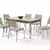 (Classe A) Conjunto Sala de Jantar Mesa Retangular com 6 Cadeiras Natani Cromado/Bege