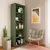 (Classe A) Estante para Livros 5 Prateleiras 180cmx60cm Multy Menta na internet