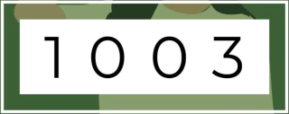 1003ind
