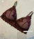 Cropped Renda Valentina - comprar online