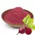 FARINHA DE BETERRABA 100G - comprar online
